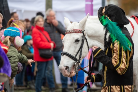 2025-11-15 Sint intocht-161